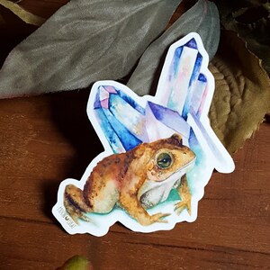 Magic Toad Vinyl Sticker - Crystal frog sticker witch sticker magical crystals original art watercolor