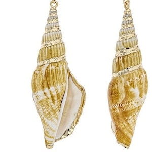 May include: Two seashell-shaped earrings with gold-colored accents. The earrings have a spiral design with a gold-colored band around the top and bottom of the spiral. The inside of the shell is white. The earrings hang from a gold-colored chain.