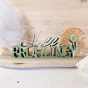 3D STL Datei FRÜHLING - 3MF Bambu Studio - Schriftzug