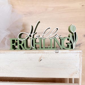 3D STL Datei FRÜHLING - 3MF Bambu Studio - Schriftzug