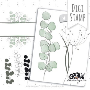 Clipart Timbro digitale eucalipto