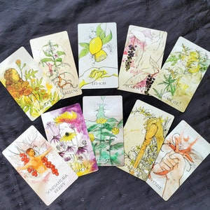 K&ouml;nnte beinhalten: Ein Satz von zehn illustrierten Karten mit verschiedenen Pflanzen und Blumen. Jede Karte zeigt eine andere Pflanze oder Blume mit ihrem Namen darunter. Die Karten sind alle im Vintage-Stil mit einem hellbraunen Hintergrund.