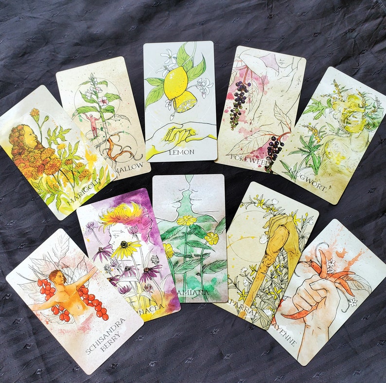 K&ouml;nnte beinhalten: Ein Satz von zehn illustrierten Karten mit verschiedenen Pflanzen und Blumen. Jede Karte zeigt eine andere Pflanze oder Blume mit ihrem Namen darunter. Die Karten sind alle im Vintage-Stil mit einem hellbraunen Hintergrund.