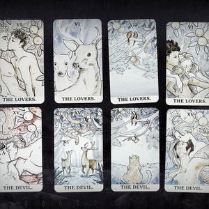 Pu&ograve; includere: Otto carte dei tarocchi, quattro che raffigurano la carta degli Amanti e quattro che raffigurano la carta del Diavolo. Le carte degli Amanti mostrano una coppia che si abbraccia, un paio di cervi, una coppia di uccelli e una coppia di umani. Le carte del Diavolo mostrano una coppia che si abbraccia, un paio di cervi, un gatto e un serpente.