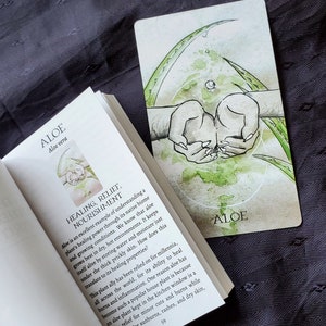 K&ouml;nnte beinhalten: Eine Karte mit einer Aquarell-Illustration einer Aloe-Vera-Pflanze. Die Karte tr&auml;gt das Wort "ALOE" in gr&uuml;nem Text unten. Der Text "HEILUNG, LINDERUNG, N&Auml;HRUNG" ist in schwarzem Text auf der linken Seite der Karte geschrieben. Der Text "ALOE" ist in schwarzem Text auf der rechten Seite der Karte geschrieben. Die Karte ist Teil eines Kartendecks, das verschiedene Pflanzen und ihre heilenden Eigenschaften zeigt.