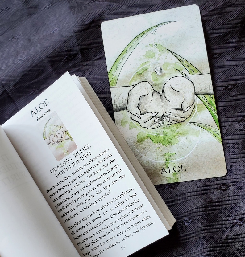 K&ouml;nnte beinhalten: Eine Karte mit einer Aquarell-Illustration einer Aloe-Vera-Pflanze. Die Karte tr&auml;gt das Wort "ALOE" in gr&uuml;nem Text unten. Der Text "HEILUNG, LINDERUNG, N&Auml;HRUNG" ist in schwarzem Text auf der linken Seite der Karte geschrieben. Der Text "ALOE" ist in schwarzem Text auf der rechten Seite der Karte geschrieben. Die Karte ist Teil eines Kartendecks, das verschiedene Pflanzen und ihre heilenden Eigenschaften zeigt.