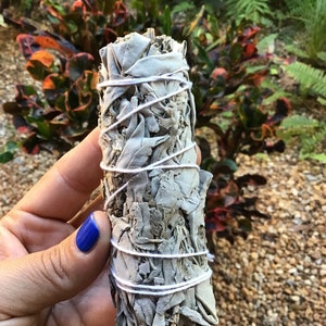 4” White Sage Bundle - California White Sage - Natural Incense- Smudging Herb - Cleansing Negative Energy - Good Energy - Good Vibes .