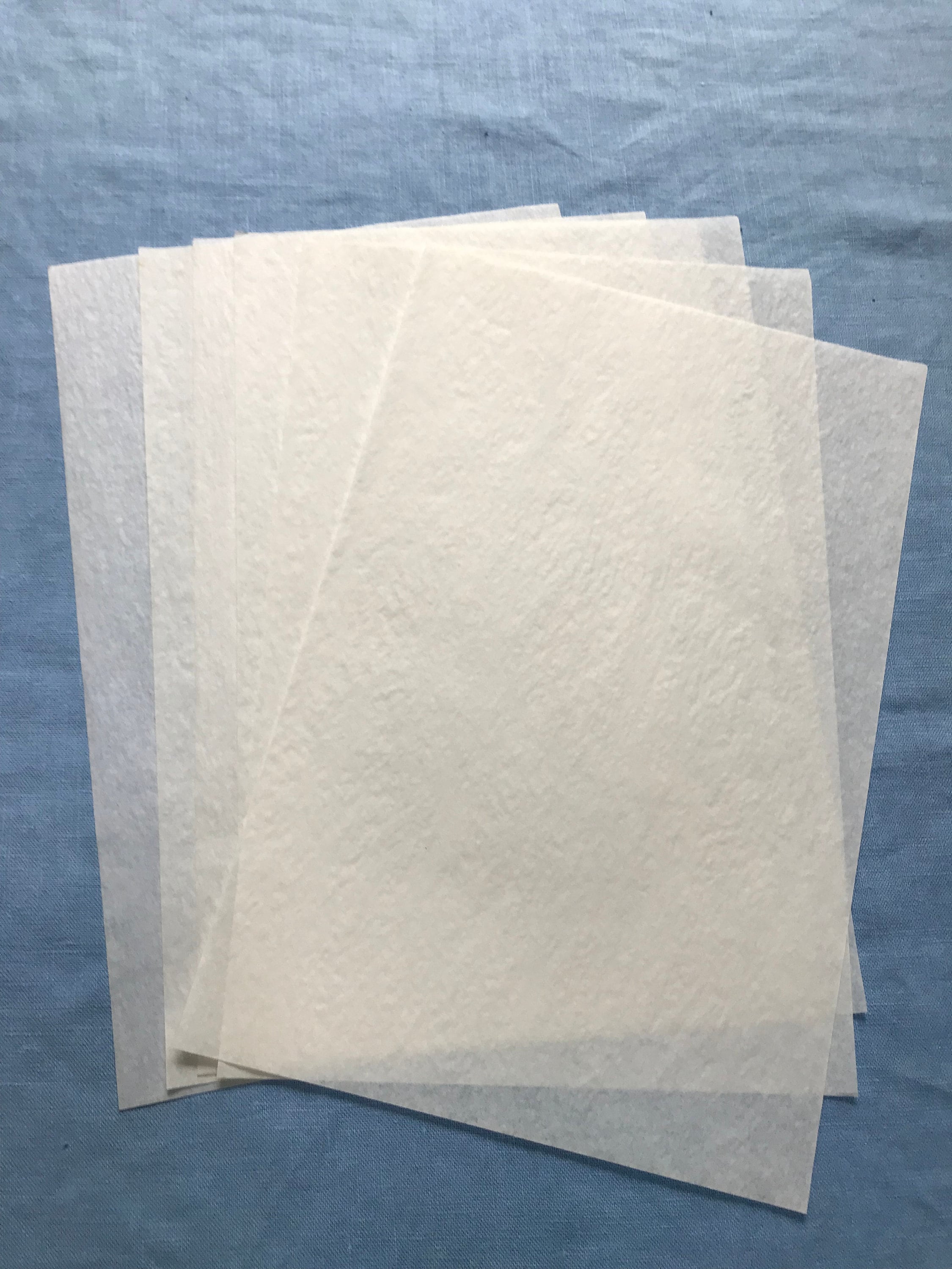 Esleeck FIDELITY® Onion Skin 25% Cotton Rag Watermarked 10# Paper
