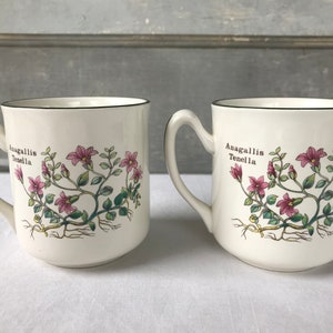 May include: Two white ceramic mugs with black rims and handles. Both mugs feature a floral design with pink flowers and green leaves. The text "Anagallis Tenella" is printed on each mug.