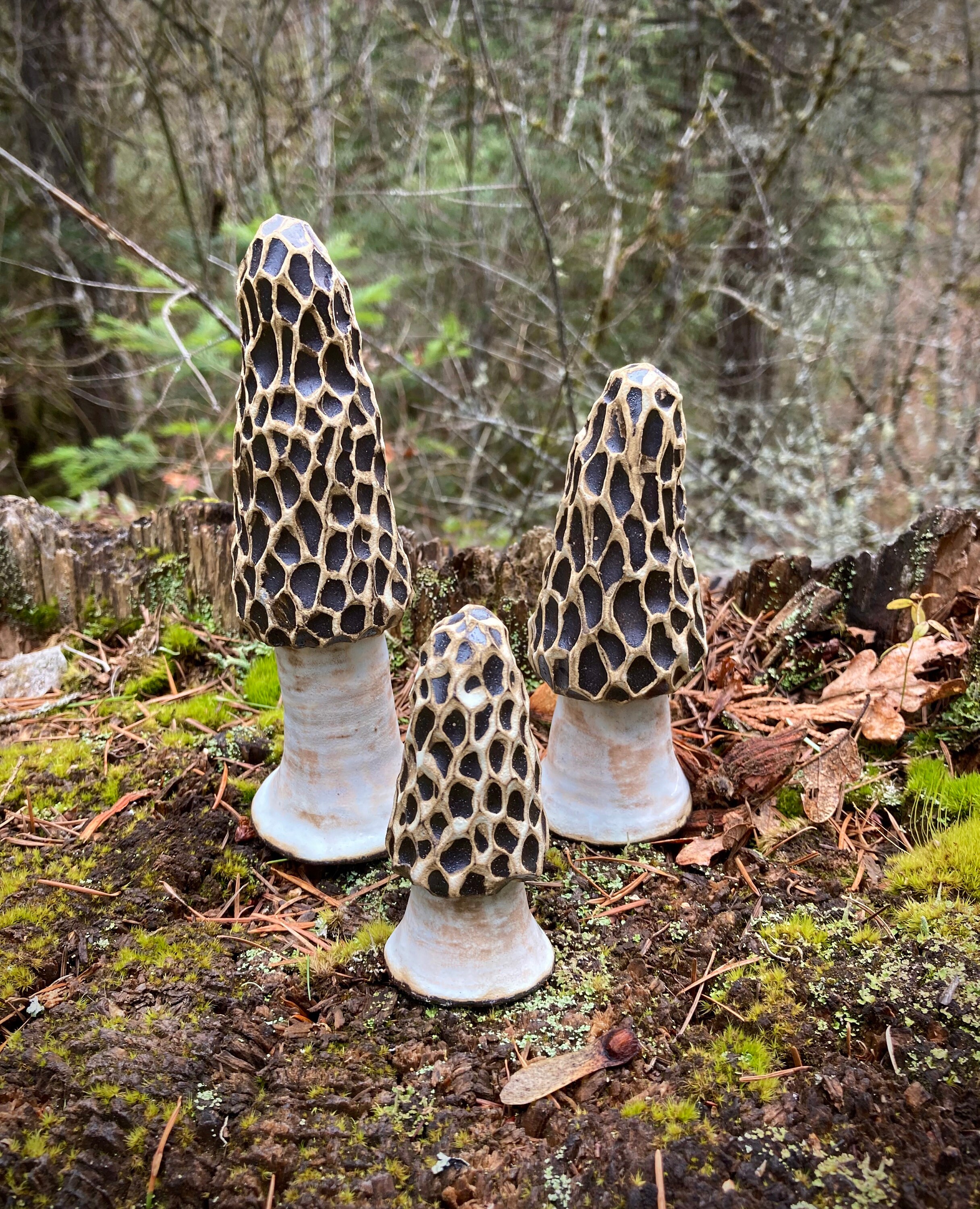 Ceramic Morel Mushrooms Etsy