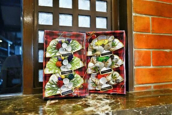 Refrigerator shells case study 02 image