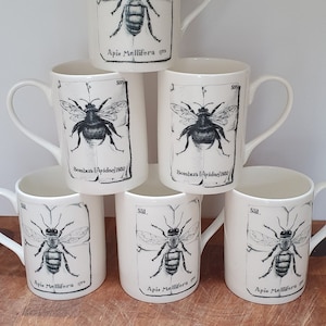 Insekter på muggar - Honungsbi eller humla - svartvit illustration