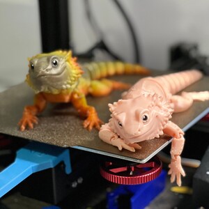 Rubber Bearded Dragon Etsy