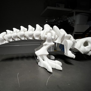 Flexi Rex Skelton fidget toy, 3D printed, made to order, multiple colors available