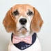 see more listings in the Dog Wedding Attire section