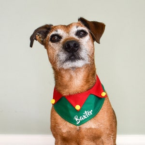 Elf riding dog costume discount