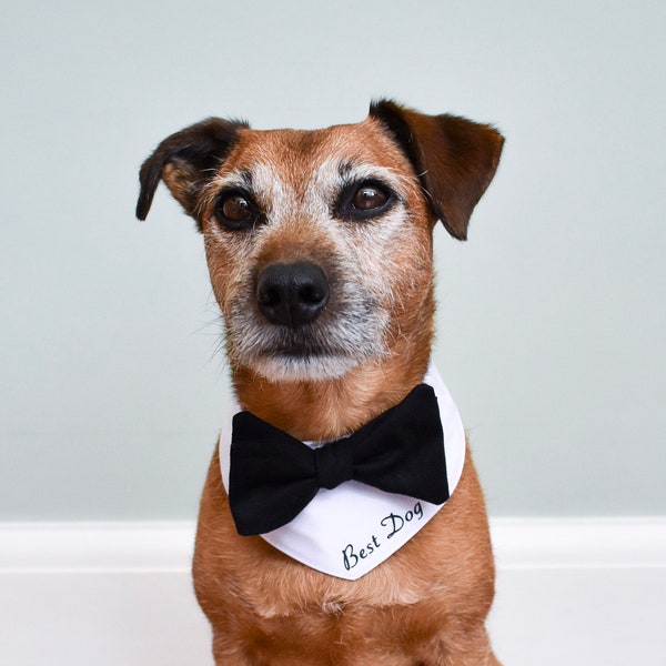 Dog wedding attire, black tie collar, custom dog bandana, personalised dog, best dog bandana, Dog costume, Dog bow tie, Dog wedding Outfit.
