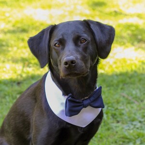 Dog Wedding Bandana with Bow Tie - Navy Blue and White