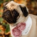 see more listings in the Dog Wedding Attire section