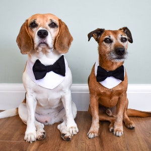 Black And White Dog Wedding Bandana, Dog Bow Tie, Dog Bandana, Dog Collar, Dog Wedding Attire, Dog Tuxedo, Black & White Dog Collar
