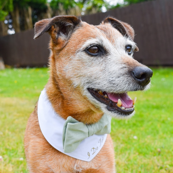 Sage Green Dog Wedding Bandana, green tie collar, custom dog bandana, personalised dog, best dog bandana, Dog costume, Dog bow tie