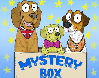 Dog Mystery Box, Dog Gift Boxes, Pet Accessories, Dog Accessory, Dog Collar, Dog Bandana, Pet Bow Tie, Dog Clothing, Mystery Box, Dog Gifts