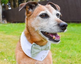 Sage Green Dog Wedding Bandana, green tie collar, custom dog bandana, personalised dog, best dog bandana, Dog costume, Dog bow tie