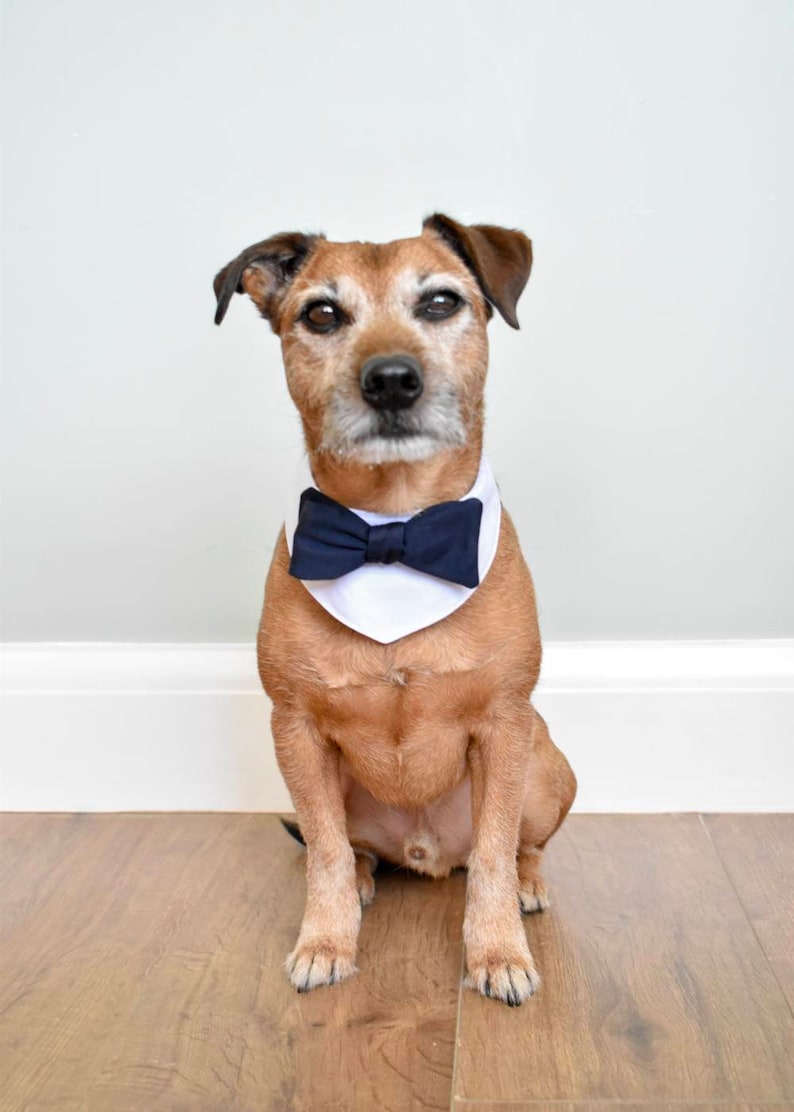 Dog Wedding Attire Dog Bow Tie. Dog Wedding Bandana Dog Etsy UK