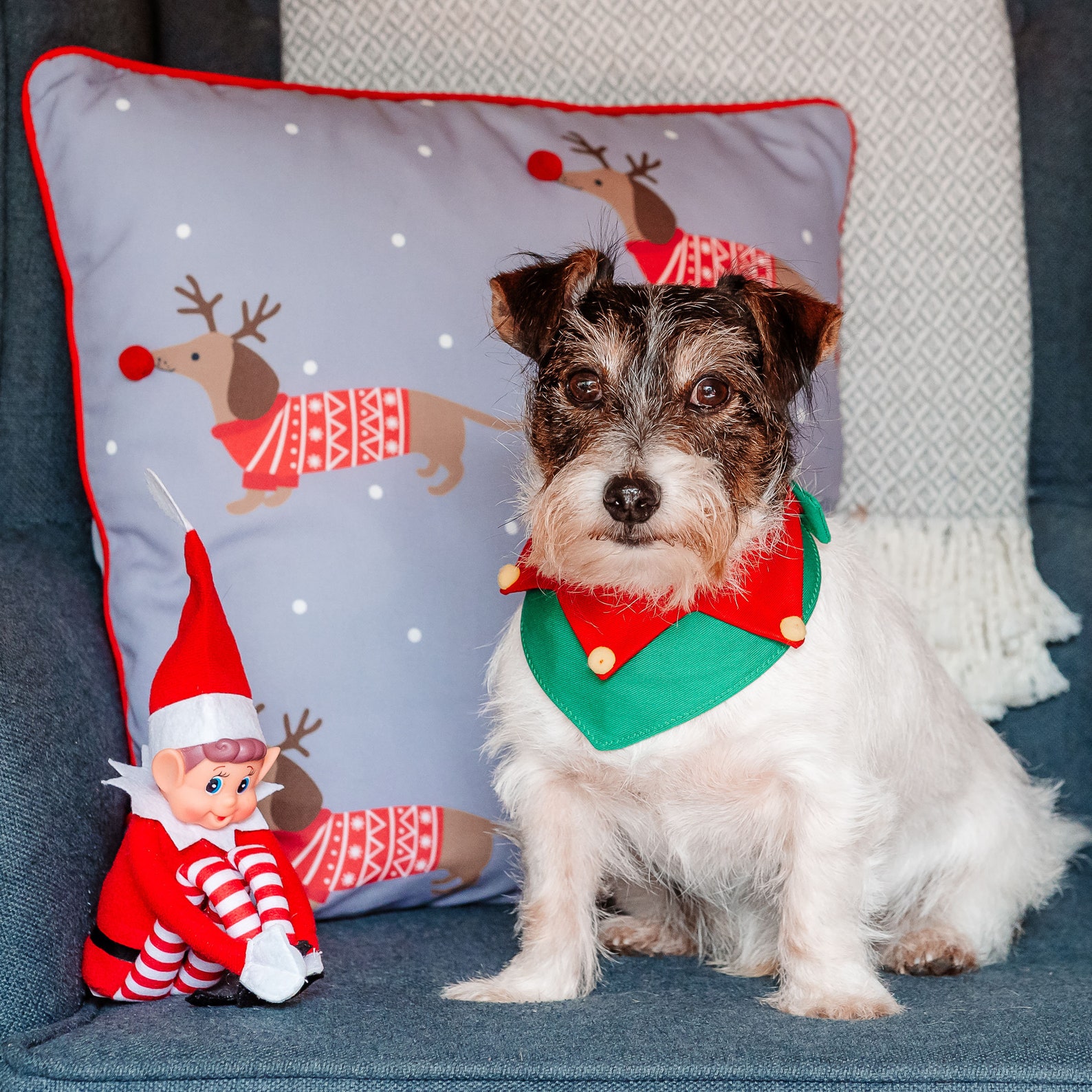 Elf Dog Bandana Christmas Dog Bandana Elf Dog Costume Etsy