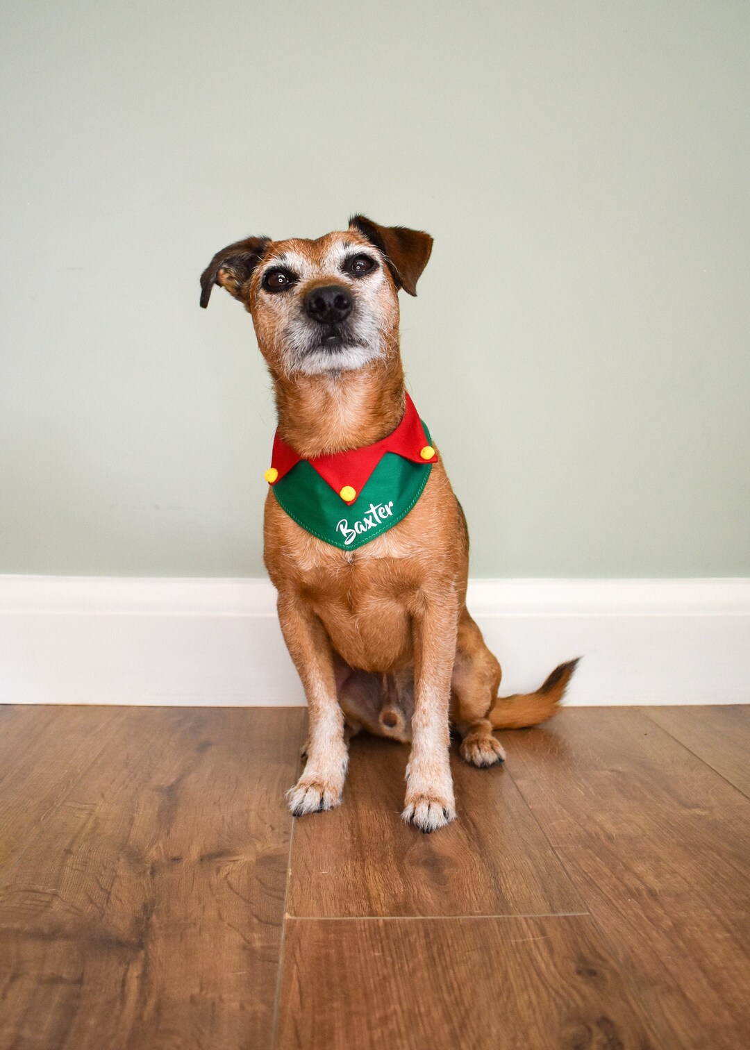 Elf Dog Bandana Personalised Christmas Dog Bandana Dog Etsy