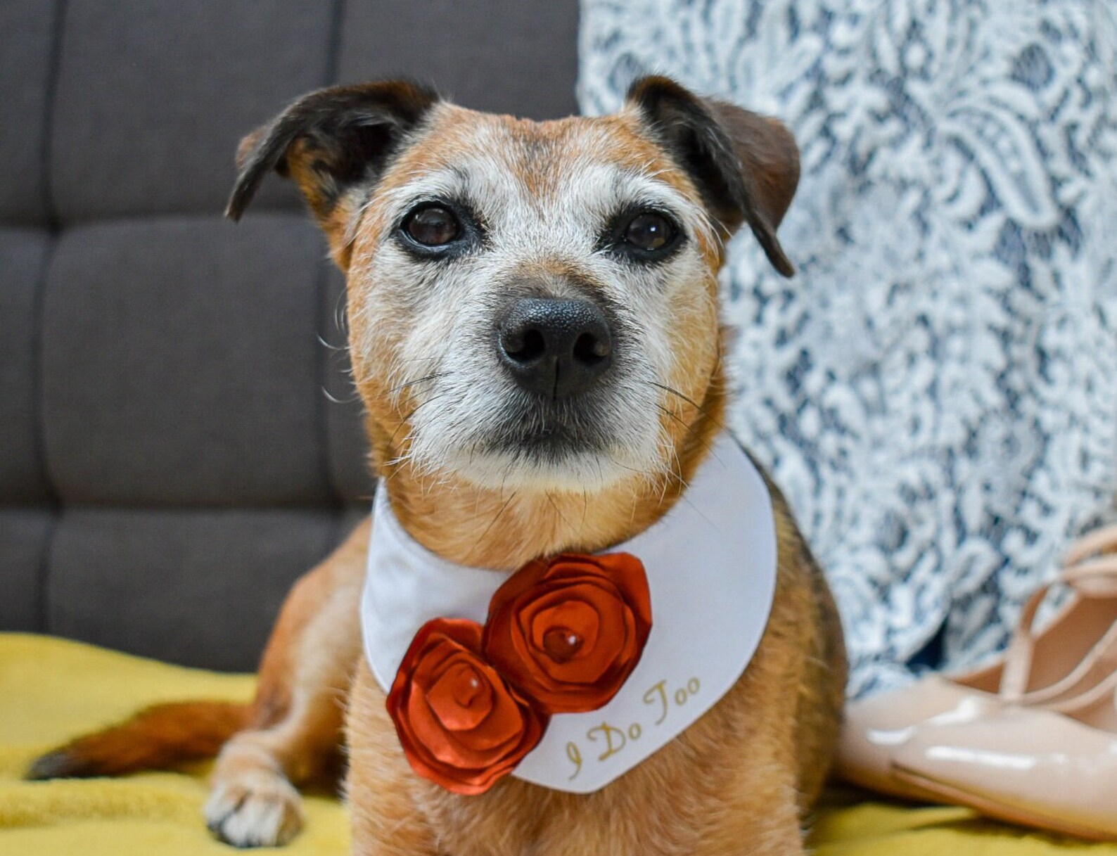 Dog Flower Collar Dog Wedding Attire Dog Wedding Bandana Etsy UK