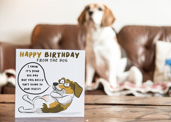 Do Dogs Know Its Their Birthday