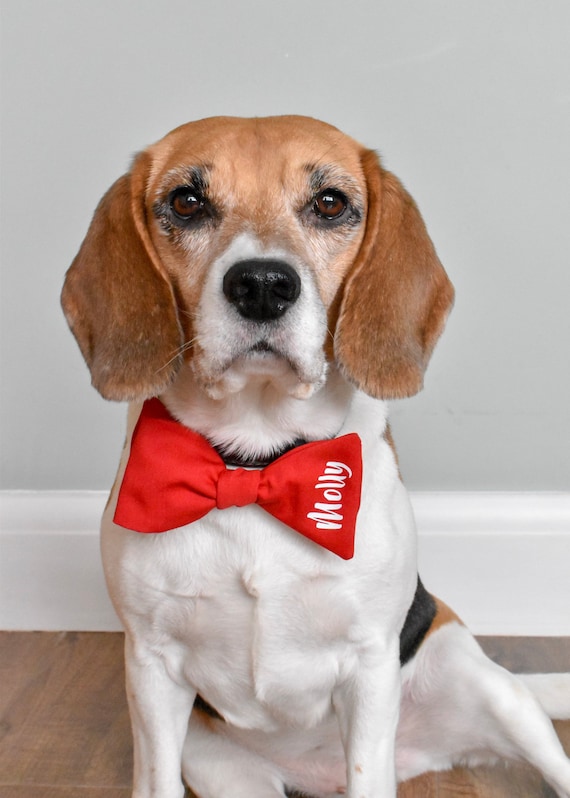 Personalised dog bow tie Clearance