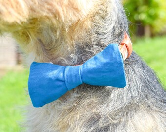 Blue Dog Bow Tie, Sky Blue Bow, Blue Dog Wedding, Blue Groom Tie, Handmade Wedding Accessories