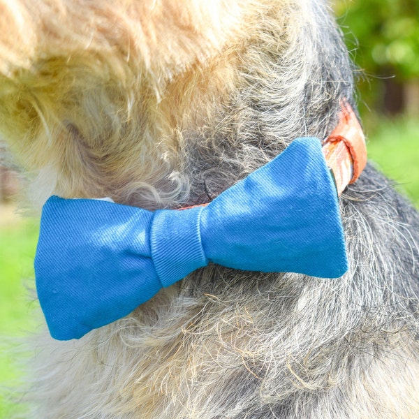 Blue Dog Bow Tie, Sky Blue Bow, Blue Dog Wedding, Blue Groom Tie, Handmade Wedding Accessories
