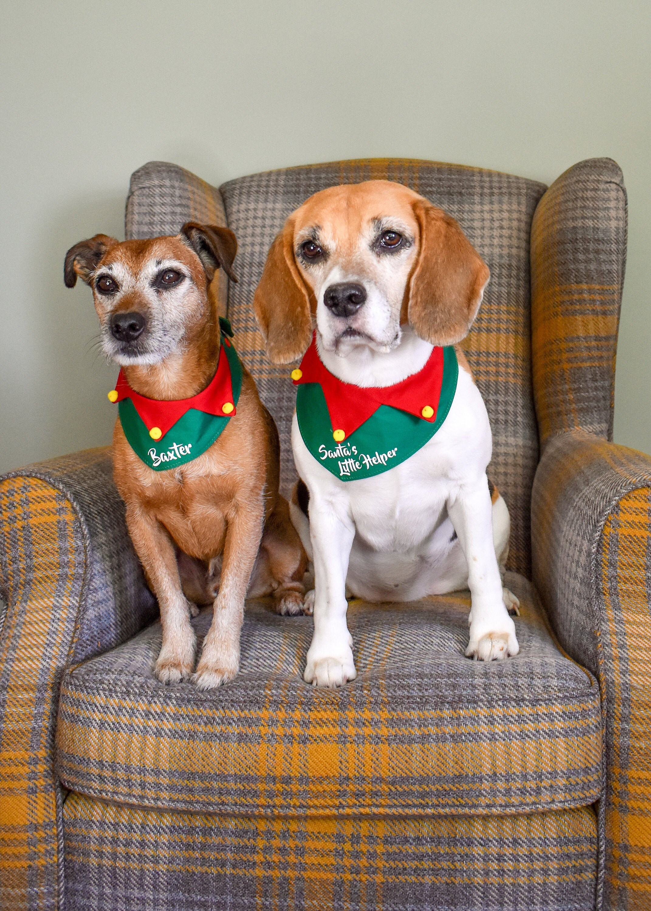 Elf Dog Bandana Personalised Christmas Dog Bandana Dog Etsy