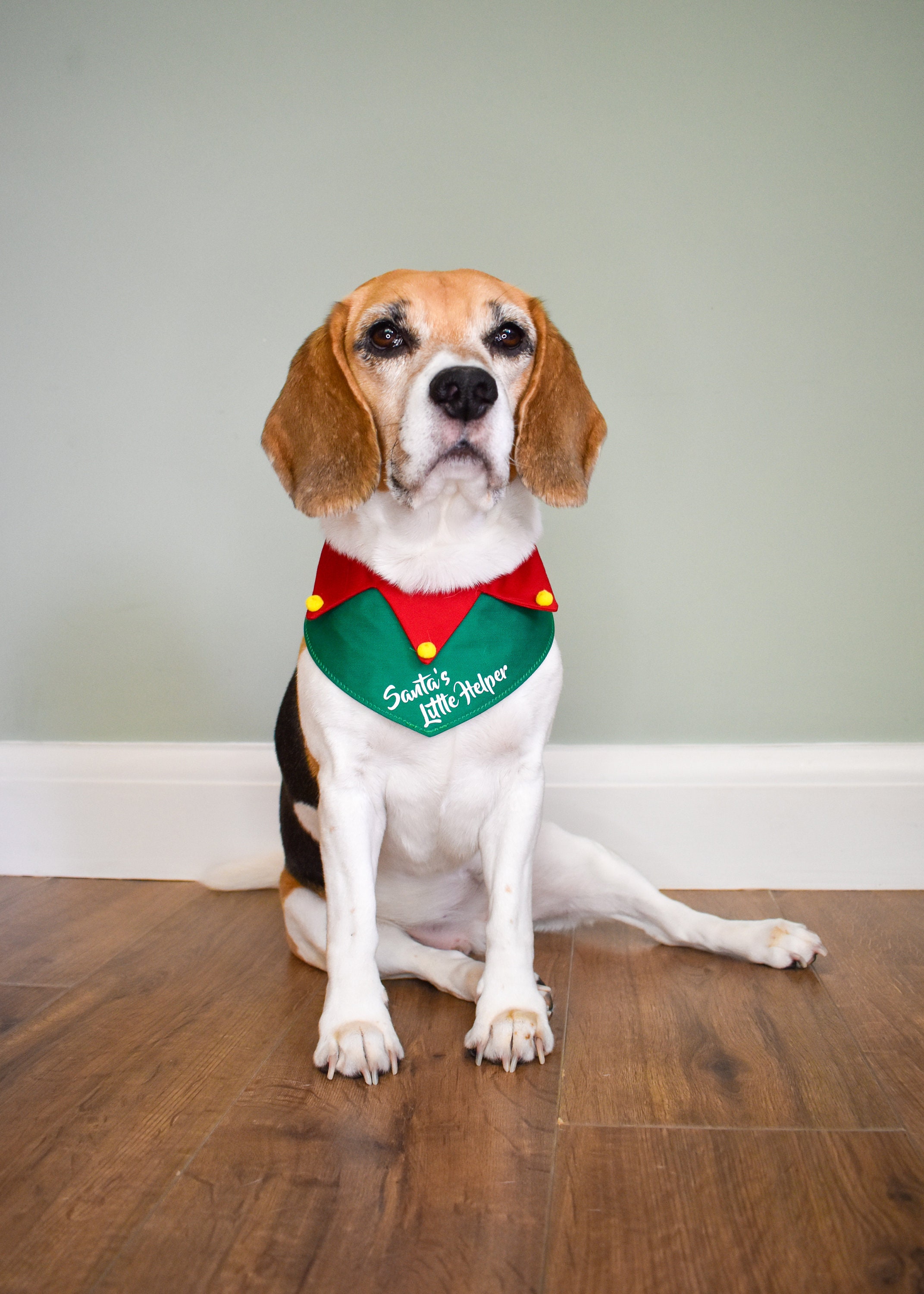 Elf Dog Bandana Personalised Christmas Dog Bandana Dog Etsy