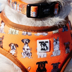 Orange Cartoon Dog Harness – Adjustable, Soft Mesh, Breathable & Fun Pet Gear