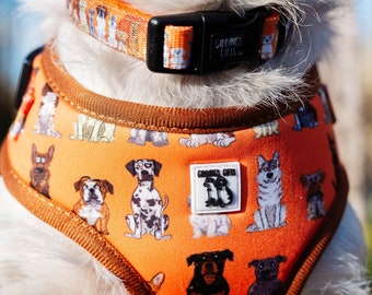 Colourful Dog Harness, Adjustable Dog Harness, Cartoon Harness, Soft Mesh Harness, Unique Dog Harness, Waterproof Harness, Fun Pet Harness