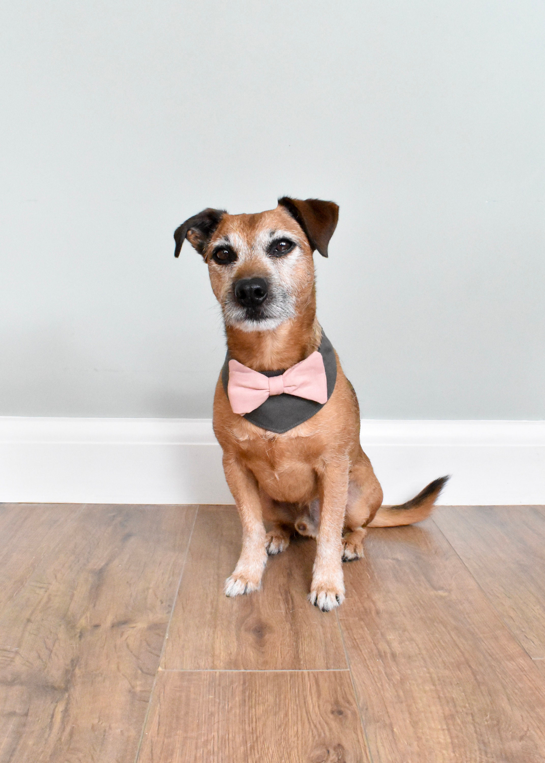 Dog Wedding Attire. Dog Costume. Dog Bow Tie. Dog Outfit. Dog | Etsy