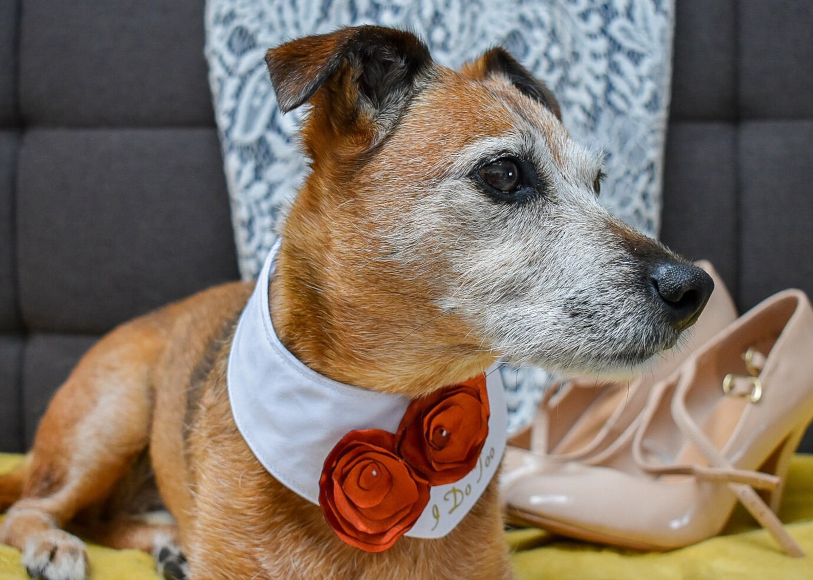 Dog Flower Collar Dog Wedding Attire Dog Wedding Bandana Etsy UK