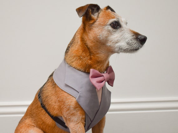 Diy Dog Harness Dog Shirt Collar And Tie Dog Suit Harness Sewing