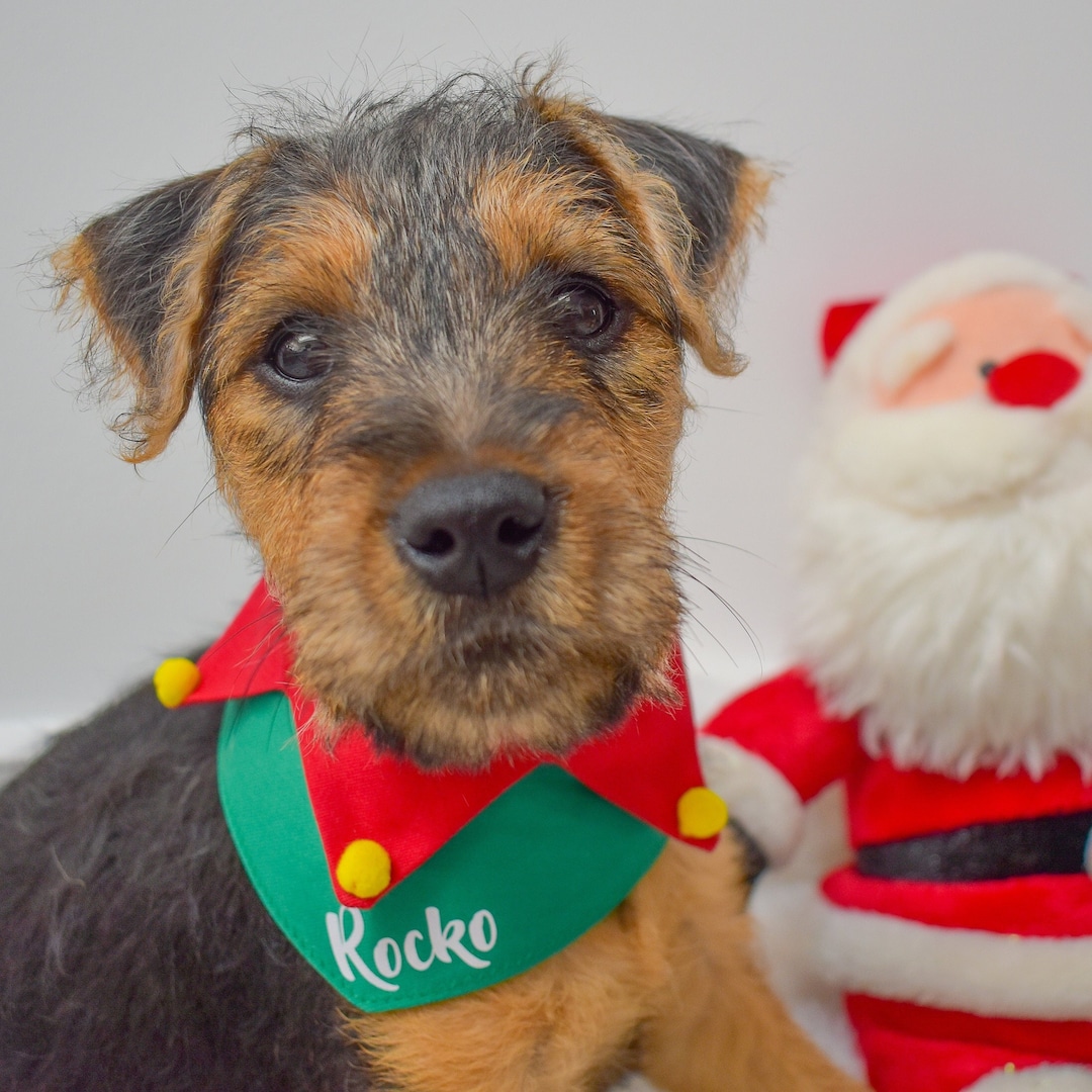 Personalised Elf Bandana Dog Christmas Collar Dog Christmas Etsy
