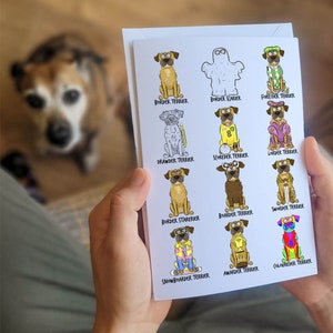 Border Terrier Card, Terrier Birthday Gifts, Dog Puns, Funny Dog Card, Pet Lover, Border Terrier Birthday, Terrier Greetings, Dog Puns