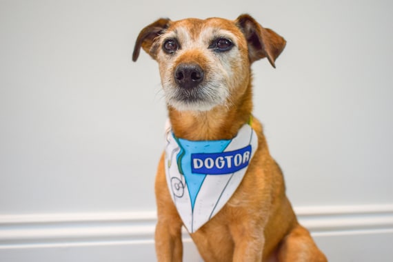 Dog nurse shop outfit