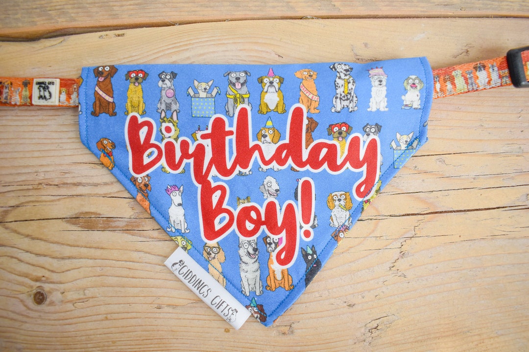 Dog Birthday Bandana, Birthday Boy Dog Bandana, Blue Birthday Bandana, Dog Birthday, Dog
