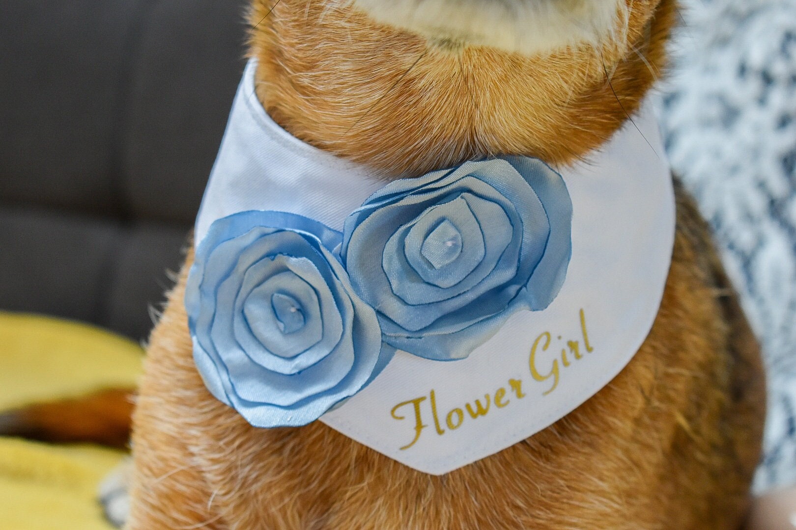 Dog Flower Etsy Canada
