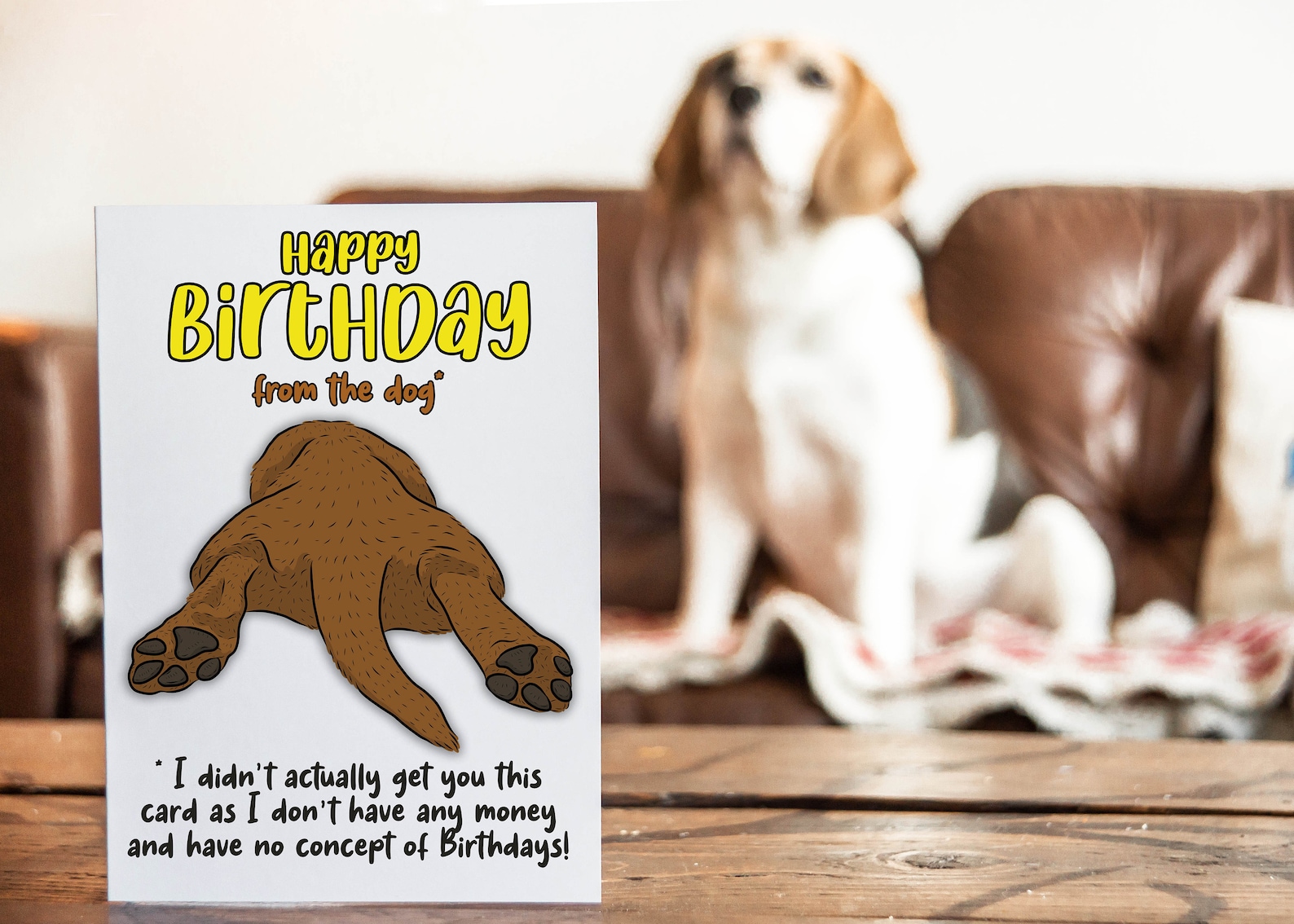 Birthday Card From the Dog Happy Birthday From the Dog Funny Etsy