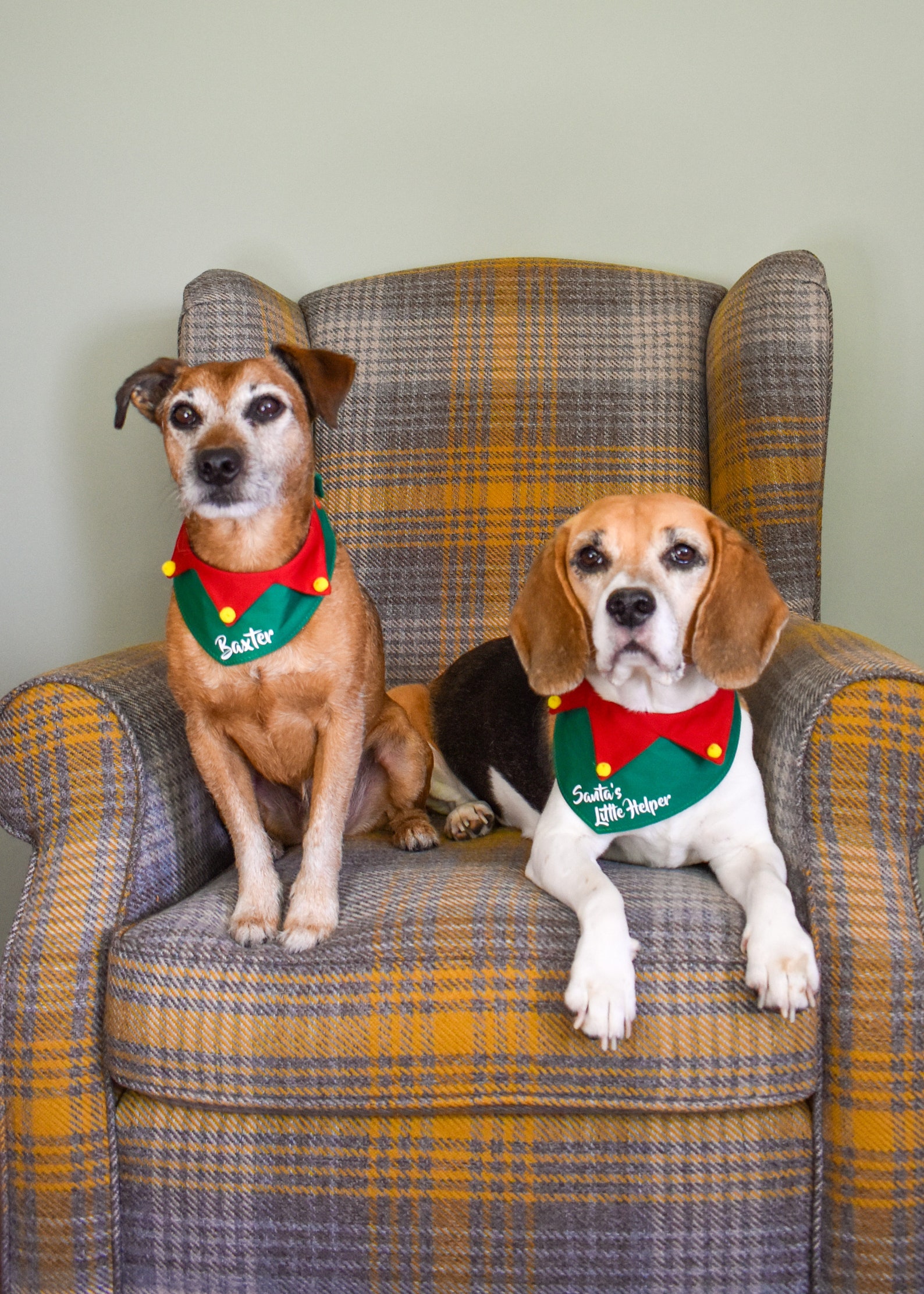 Elf Dog Bandana Personalised Christmas Dog Bandana Dog Etsy