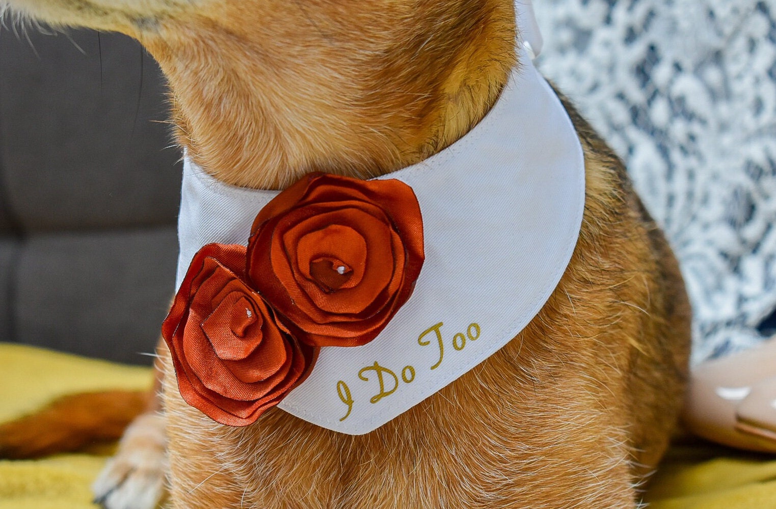 Dog Flower Collar Dog Wedding Attire Dog Wedding Bandana Etsy UK